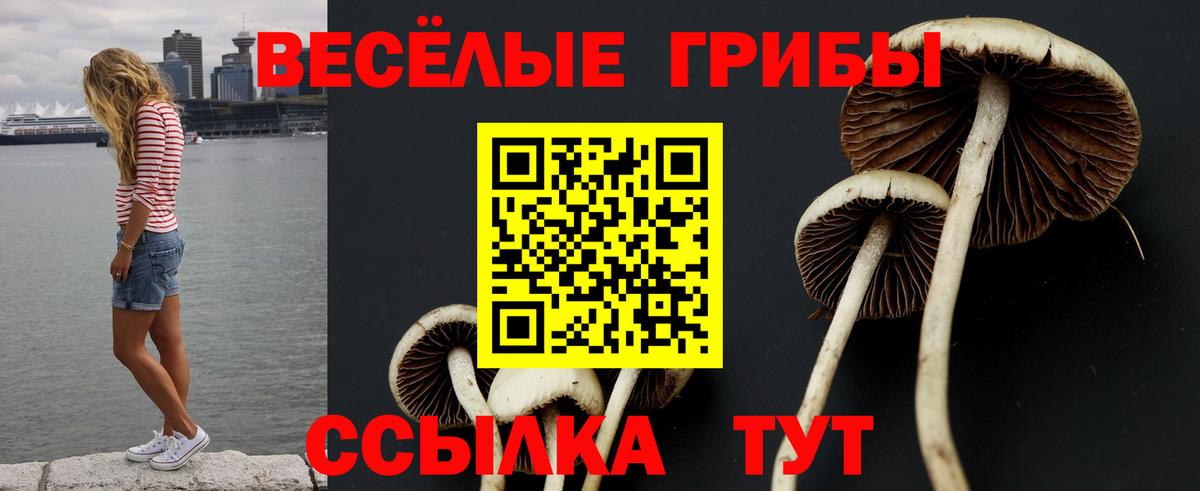 Псилоцибиновые грибы Cubensis  купить наркоту  Елабуга  Галлюциногенные грибы мухоморы  Вход с VPN 